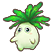 Radish