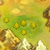 Super MD - Thirsty Desert Location Icon.png