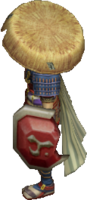 Image for Fragile Shield