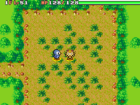 Image for Oran Forest