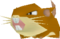 Raticate's male model.