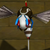 Claymore Bee's model.
