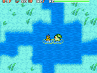 Image for Marvelous Sea