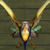Radiant Bird's model.
