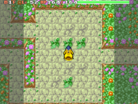 Image for Western Cave