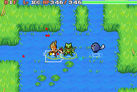 Image for Stair Spotter