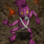VooDork's model.