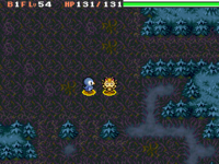 Image for Midnight Forest